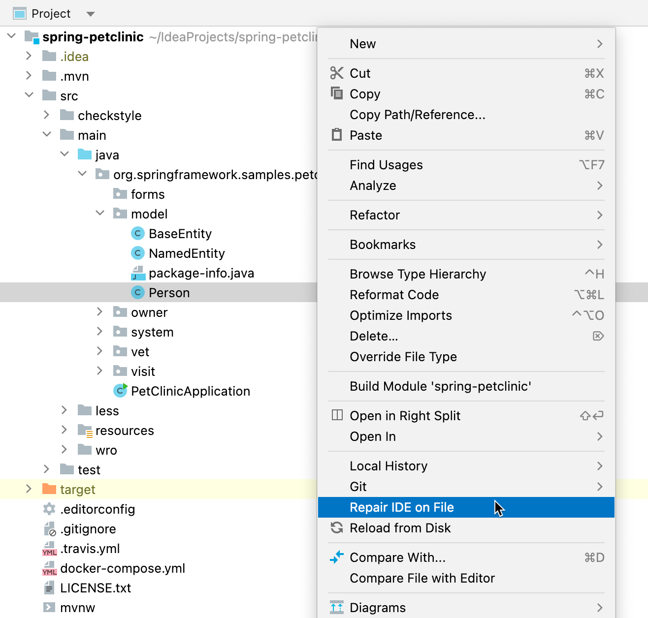修复文件上的 IDE 修复文件上的 IDE